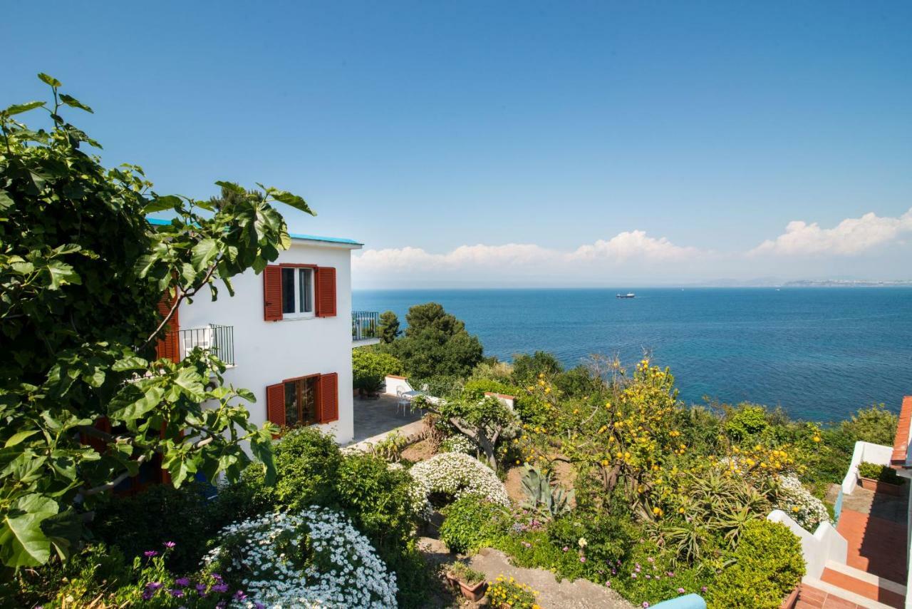 Hotel Bagnitiello Casamicciola Terme Εξωτερικό φωτογραφία