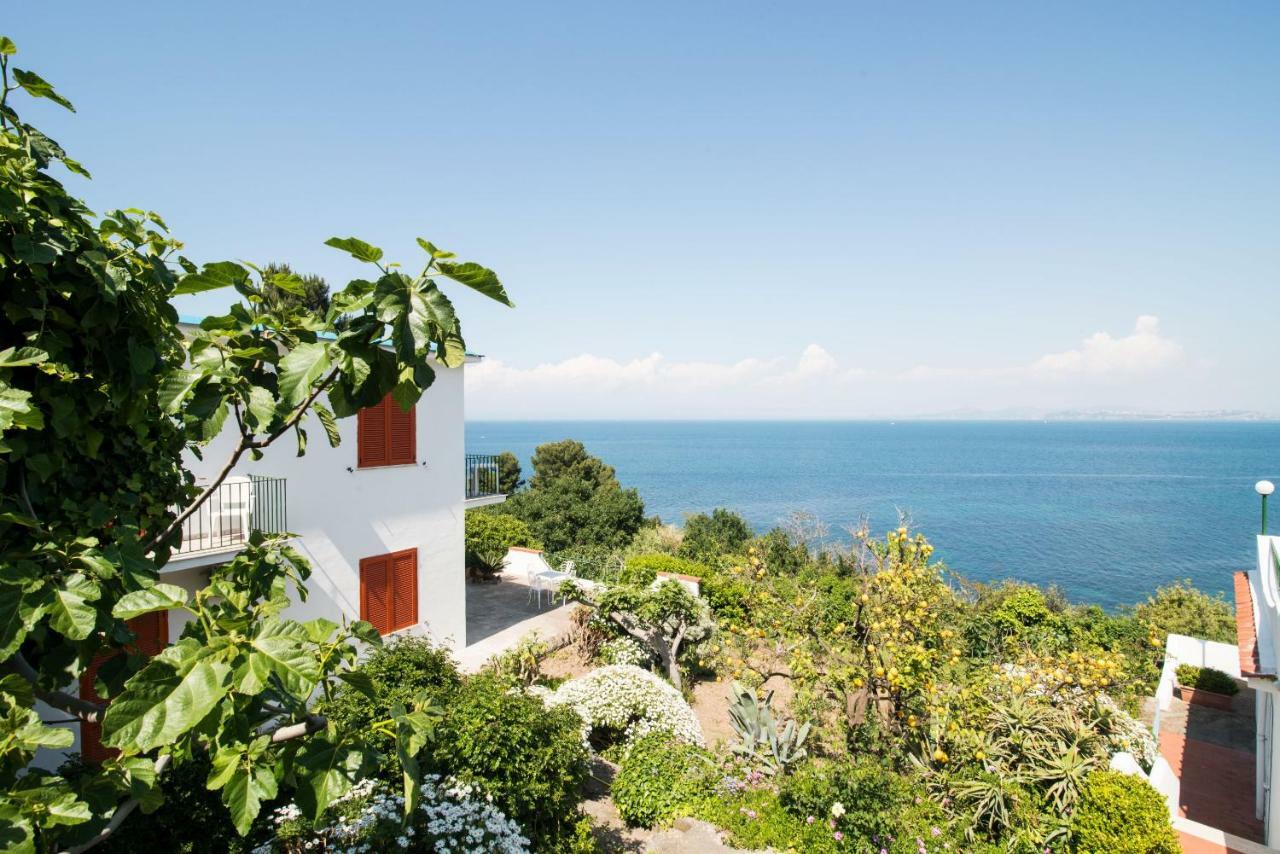 Hotel Bagnitiello Casamicciola Terme Εξωτερικό φωτογραφία